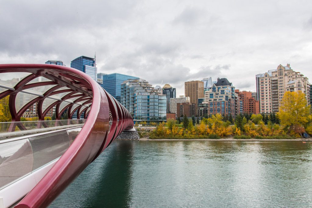 Calgary Sightseeing in a Day, Alberta | Dizzy Traveler