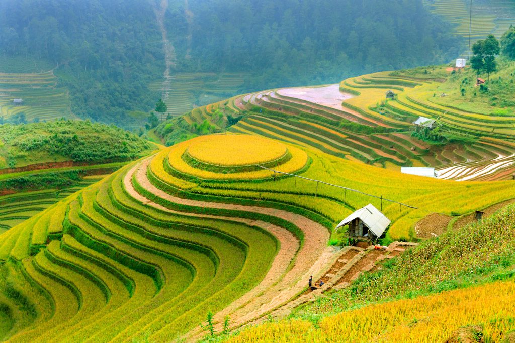 Weekend Getaway to Longji Rice Terraces from Guilin, China | DZTraveler